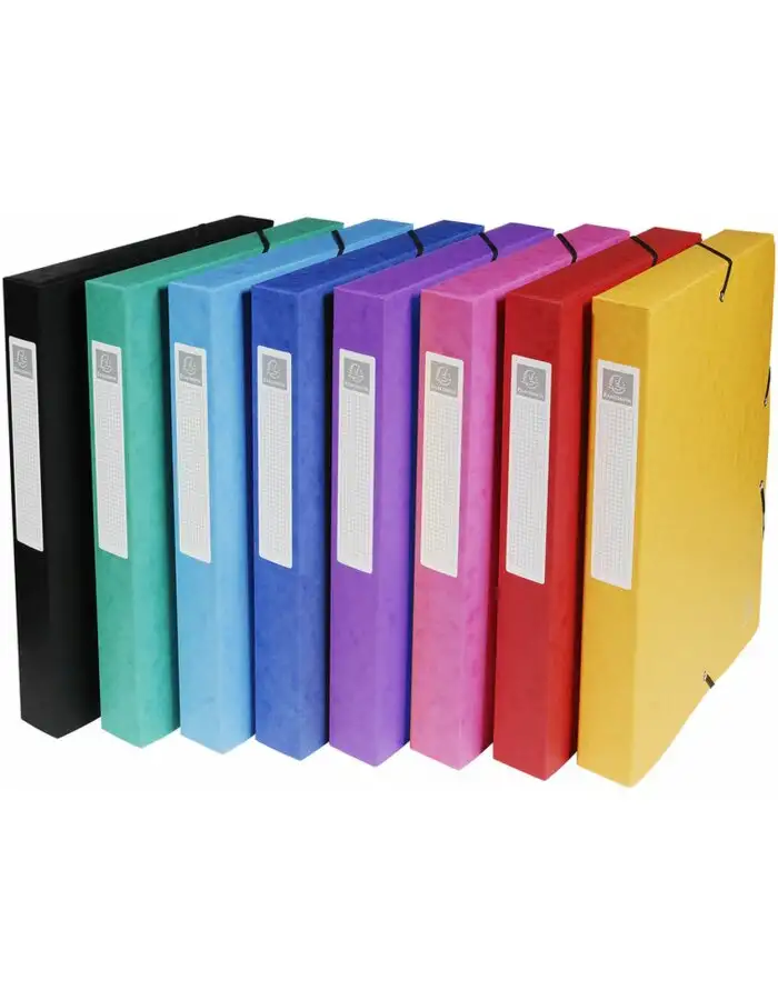 Exacompta Archivbox Exabox 40mm Manila Karton Nature Future A4 25x33 cm