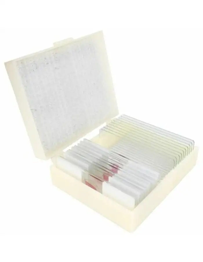 Konus Preparateset Reproduction of Animals 10 Stk.